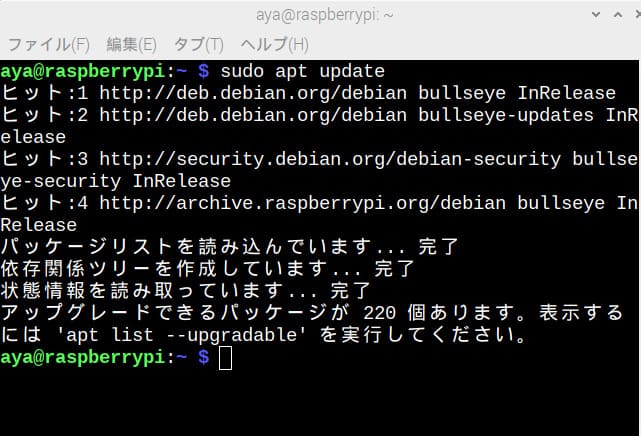 コマンド実行結果