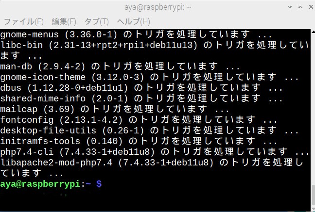 コマンド実行結果