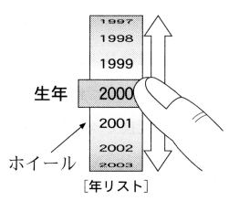 生年の入力方法